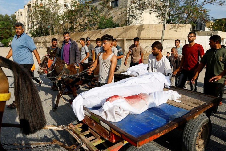 Hester, esler og vogner brukes for å frakte drepte etter israelske angrep i Khan Younis, Gaza. Foto: REUTERS/Ibraheem Abu Mustafa