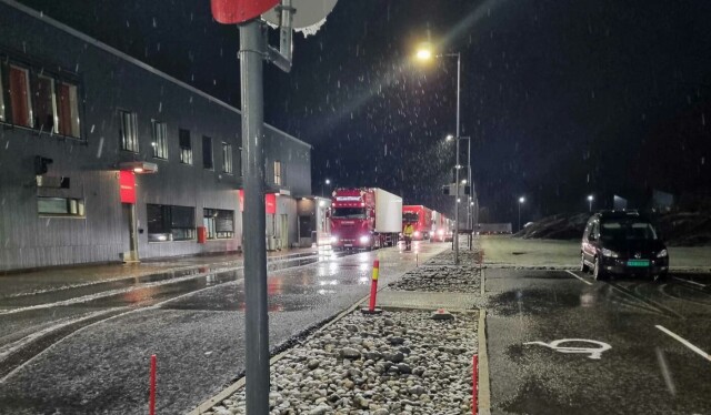 Slik så det ut da det var kontroll på Svinesund søndag 15. januar. Foto: Statens vegvesen hovedbilde