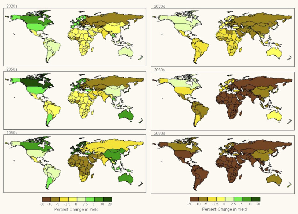 I 2004 kom en forskningsgruppe fram til at ved ett framtidsscenario, FNs klimapanel SRES scenario A2, ville det være potensial for økte avlinger på grunn av gjødslingseffekten av CO₂. I artikkelen forklares det at denne økningen vil skje i allerede utviklede land med moderate temperaturøkninger. For land i allerede varme områder vil det være en betydelig nedgang også i dette scenarioet. Til venstre: Framtidige endringer i avlingsstørrelser ved SRES A2a-scenario, med gjødslingseffekt fra CO₂. Til høyre: Uten gjødslingseffekt. Grafikk: Elsevier