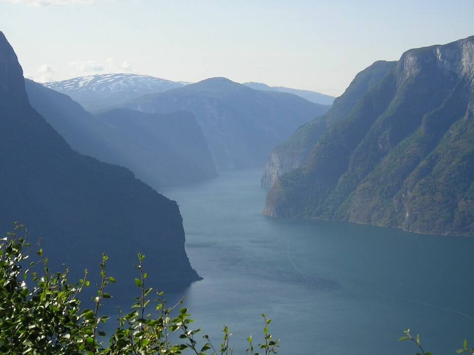 Istider har vært helt sentrale i å forme det norske landskapet. Fjordene våre er formet av isbreer som eroderer dype daler inn i landskapet. Her Sognefjorden som ifølge en studie fra 2022 kan ha blitt formet for 350 000 år siden. Foto: Maciek M.