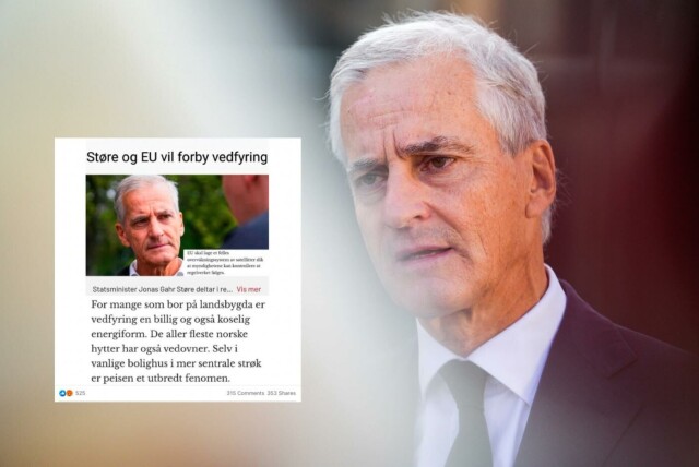 En påstand om at statsminister Jonas Gahr Støre (Ap) og EU vil forby vedfyring, spres nå i sosiale medier. Påstanden stemmer ikke. Foto: Javad Parsa / NTB og skjermdump / Facebook. hovedbilde