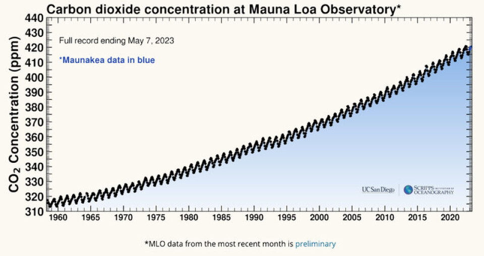 Keeling-kurven viser mengden CO₂ i atmosfæren ved Mauna Lao-observatoriet på Hawaii. Målingene har pågått siden 1958 og er den lengste, sammenhengende tidsserien av målinger med CO₂. Andelen går i sykluser med sesongene. Grafikk: UC San Diego