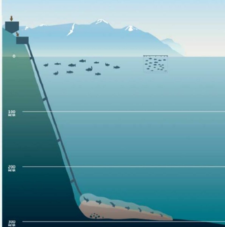 Slik kan et sjødeponi se ut. Ved hjelp av rør blir massene pumpet ut i fjorden. Grafikk: Nordic Mining.