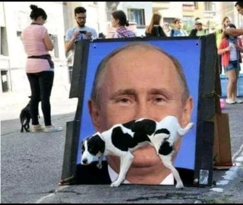 Dette bildet, av Russlands president Vladimir Putin, blir nå mye delt på internett og sosiale medier.