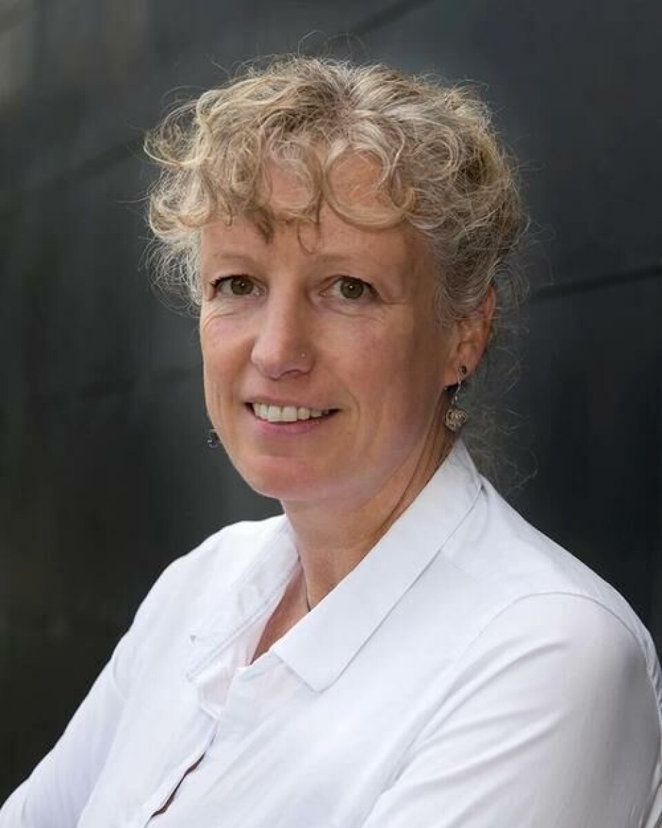 Gunhild Hoogensen Gjørv er professor i sikkerhetsstudier ved Norges arktiske universitet. Foto: Stig Brøndbo.