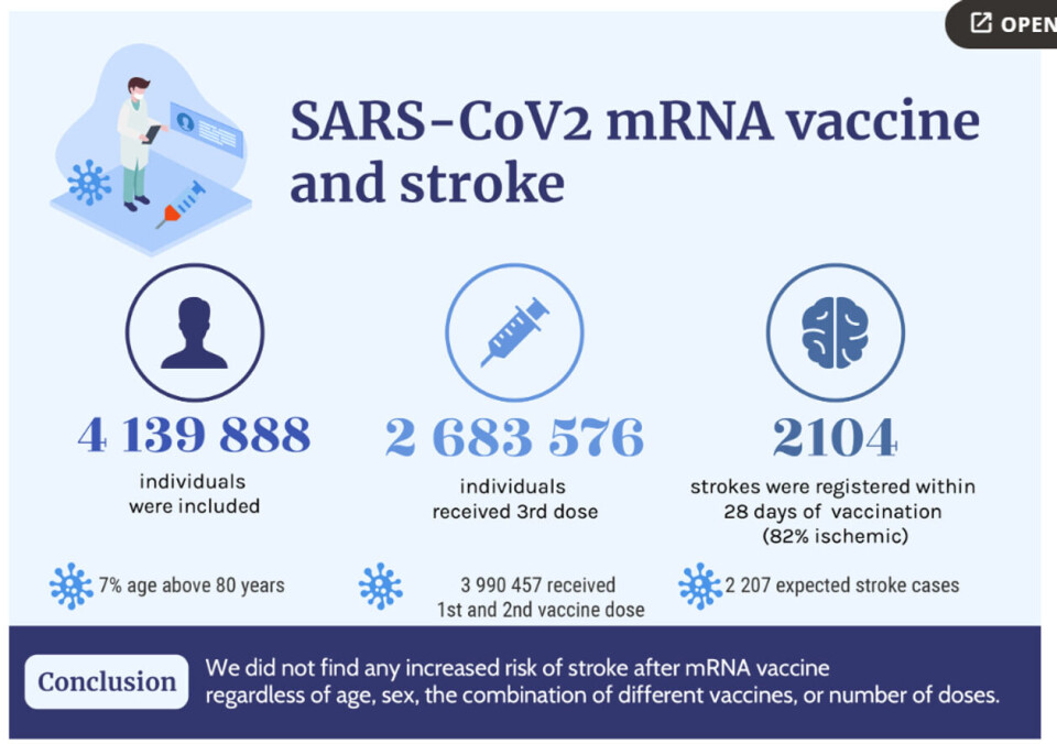 Det er ikke noe som tyder på at det er en sammenheng mellom slag og mRNA-vaksinen. Skjermdump, rapporten Stroke After SARS-CoV-2 mRNA Vaccine: A Nationwide Registry Study