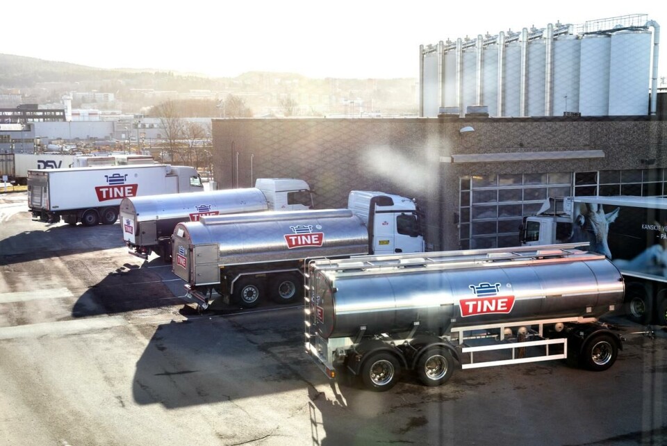 Det er Tine Råvare som har ansvaret for å transportere melka fra bonden og til et industrianlegg. Foto: Gorm Kallestad / NTB.