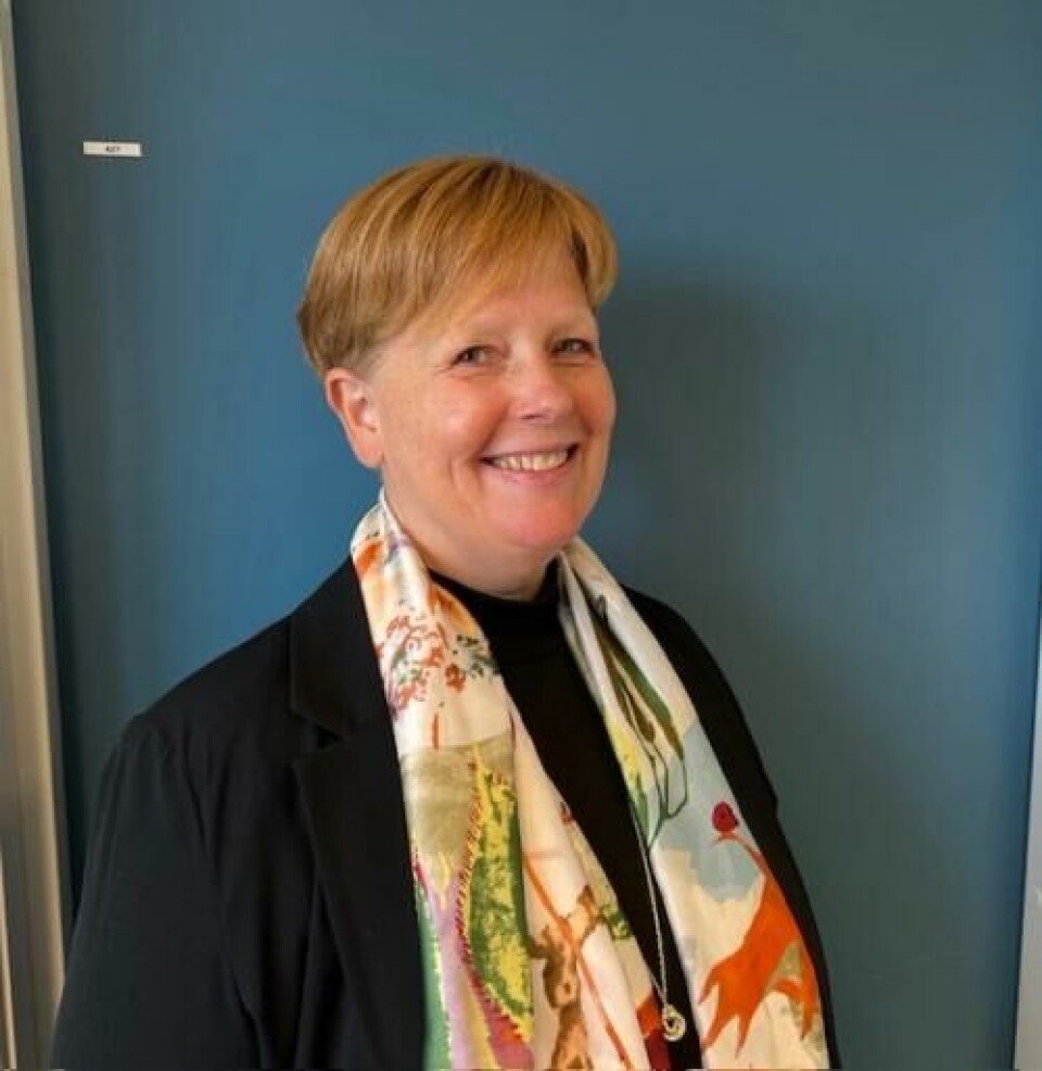 Hildegunn Pedersen, kommunalsjef, avdeling oppvekst, i Ålesund kommune. Hun opplyser at hun forholdt seg til opplysninger fra referatet der det sto at det var enighet om at barneskolerektorene ikke ønsket å flagge med pride-flagg.