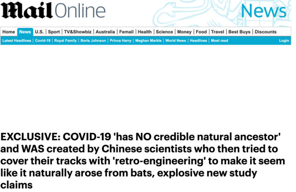 Skjermdump fra Daily Mail