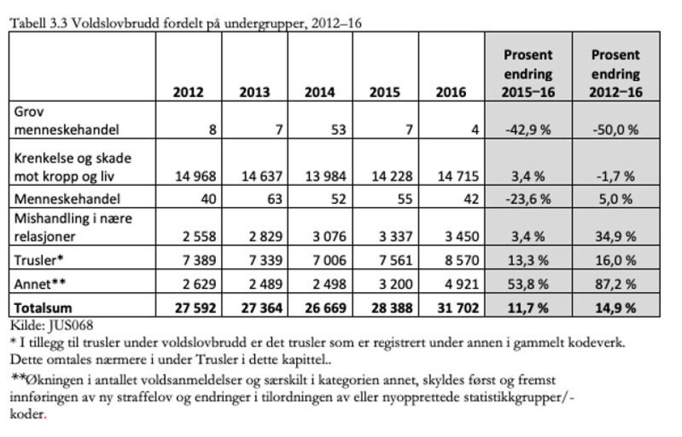 Skjermbilde: Politiets straffesaksrapport 2016