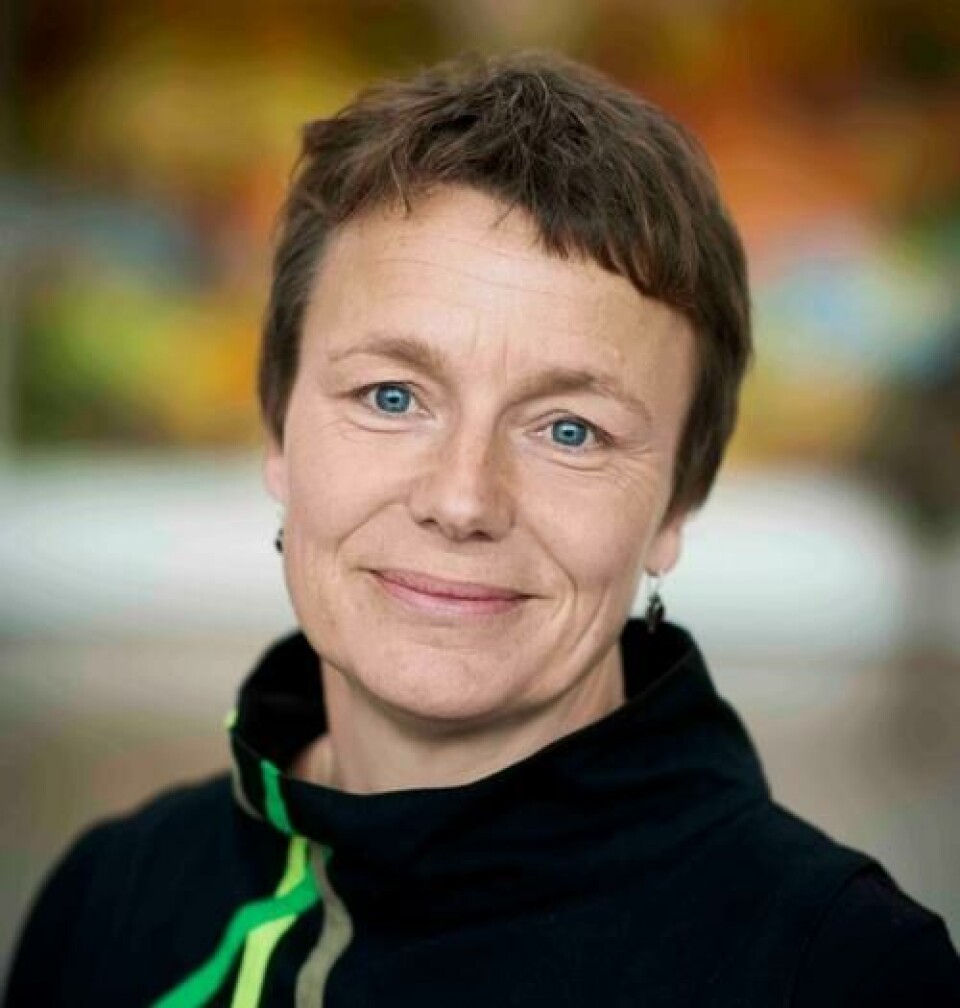 Ida Vogel, professor ved Senter for fostermedisin ved Aarhus universitetssykehus. Foto: Aarhus Universitet. Ida Vogel, professor ved Senter for fostermedisin ved Aarhus universitetssykehus.
