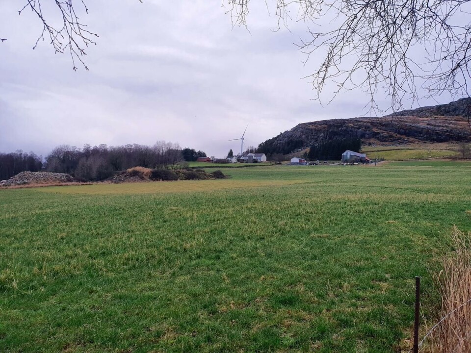 Slik ser det ut om man tar et bilde med mer vidvinklet objektiv fra omtrent samme sted. (foto: privat) Slik ser det ut om man tar et bilde med mer vidvinklet objektiv fra omtrent samme sted.