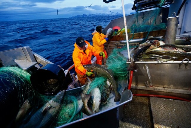 Foto: Cornelius Poppe / NTB Scanpix