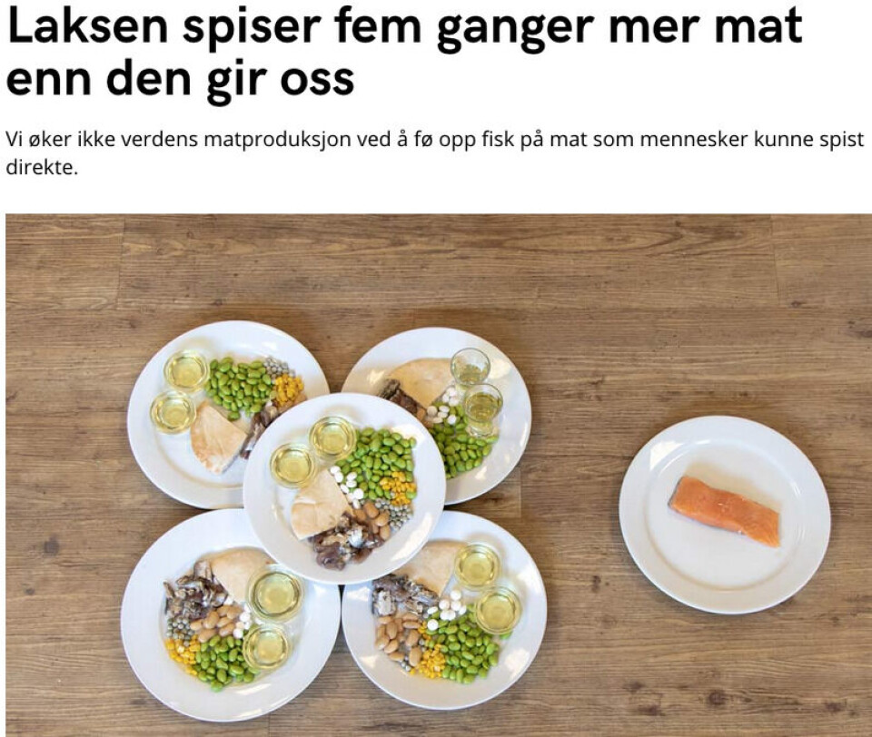 Skjermbildet av artikkel på Framtiden i våre henders nettside Foto: Skjermdump / Framtiden i våre hender Skjermbildet av artikkel på Framtiden i våre henders nettside