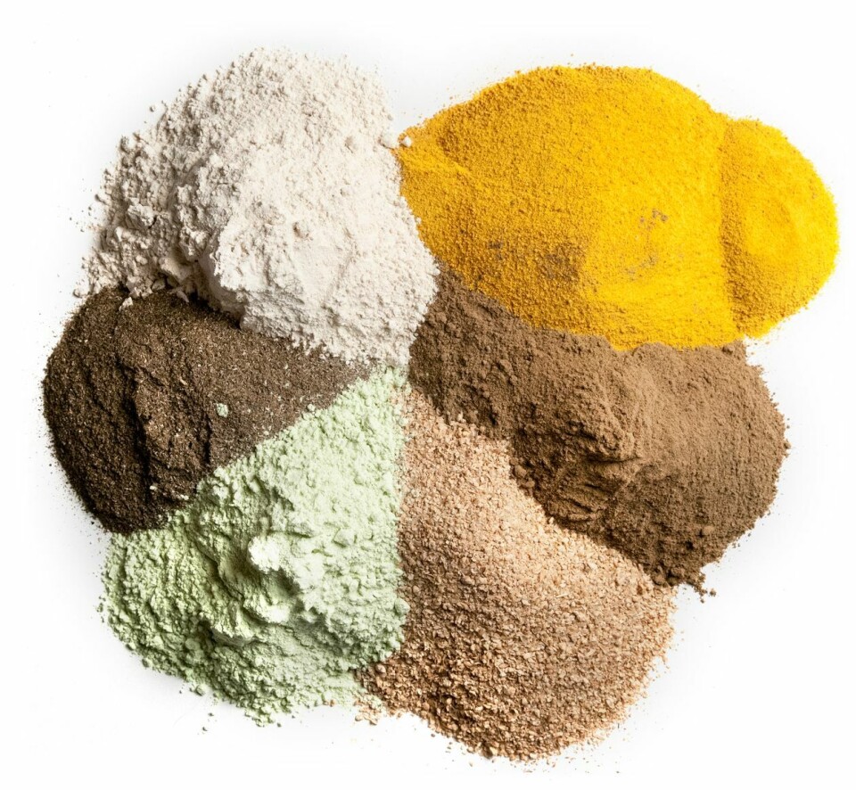 Råmaterialer til fiskefôr. Erteproteinkonsentrat, solsikkemel, hvetegulten, maisgluten, fiskemel og soyaprotein. Foto: Skretting Råmaterialer til fiskefôr. Erteproteinkonsentrat, solsikkemel, hvetegulten, maisgluten, fiskemel og soyaprotein.