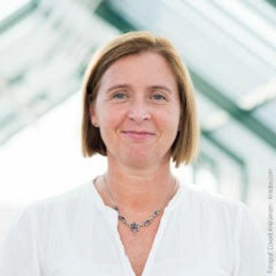 Anne Ingeborg Myhr, direktør ved GenØk. Foto: Edvard Kristiansen Anne Ingeborg Myhr, direktør ved GenØk.