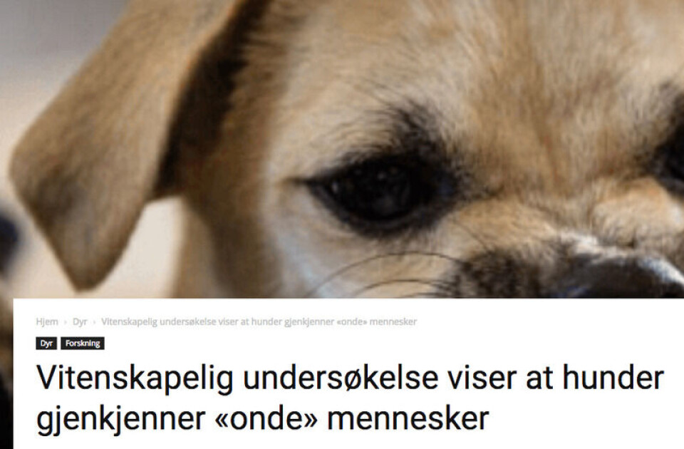 Påstanden er at hunder kan gjenkjenne onde mennesker Skjermdump av saken i Sosialnytt.no Påstanden er at hunder kan gjenkjenne onde mennesker