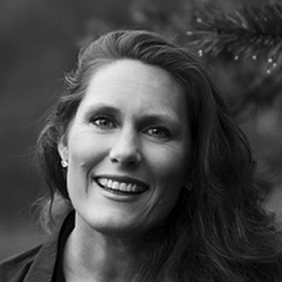 Elizabeth Gill, markedssjef i Power Norge AS. Foto: Power Norge AS. Elizabeth Gill, markedssjef i Power Norge AS.