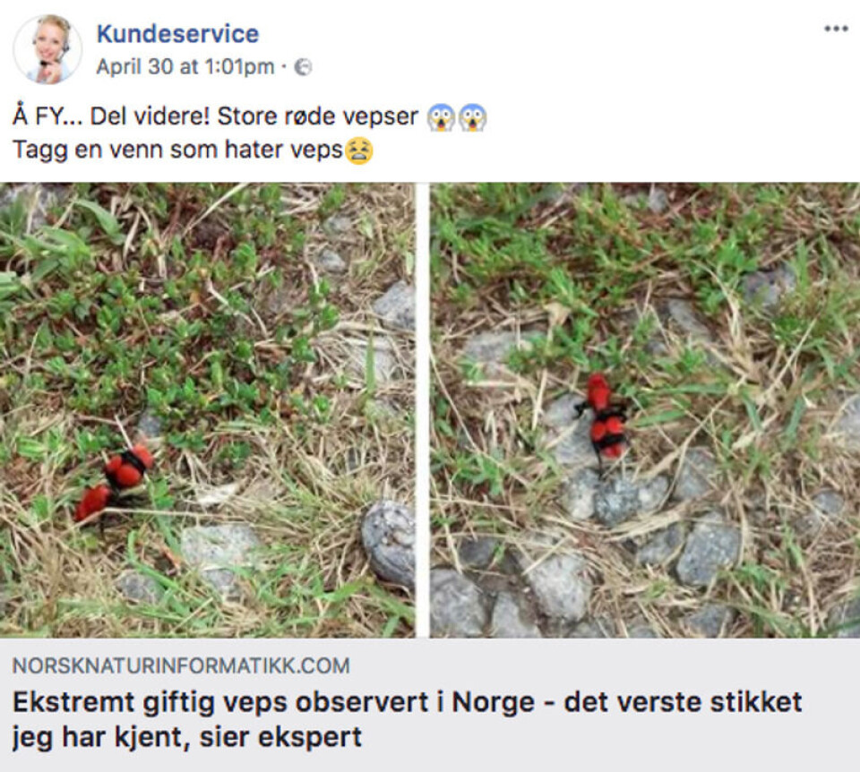 Foto: Skjermdump/facebook.com.