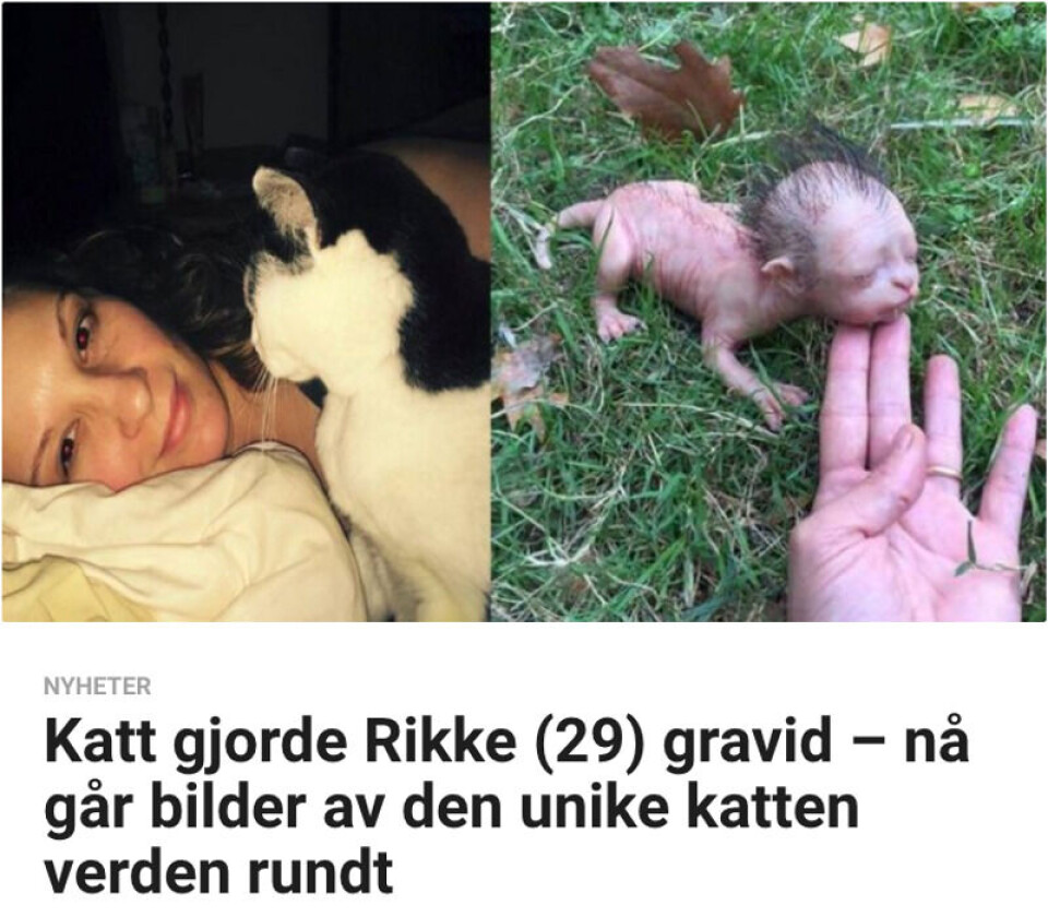 Foto: Skjermdump/Facebook