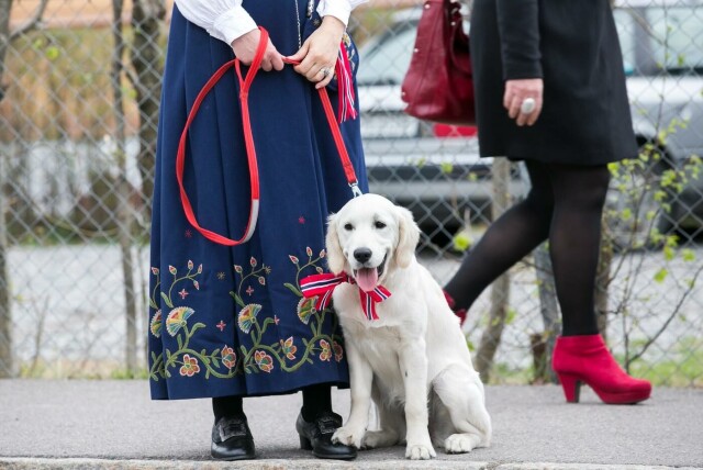FOTO: Heiko Junge / NTB Scanpix hovedbilde