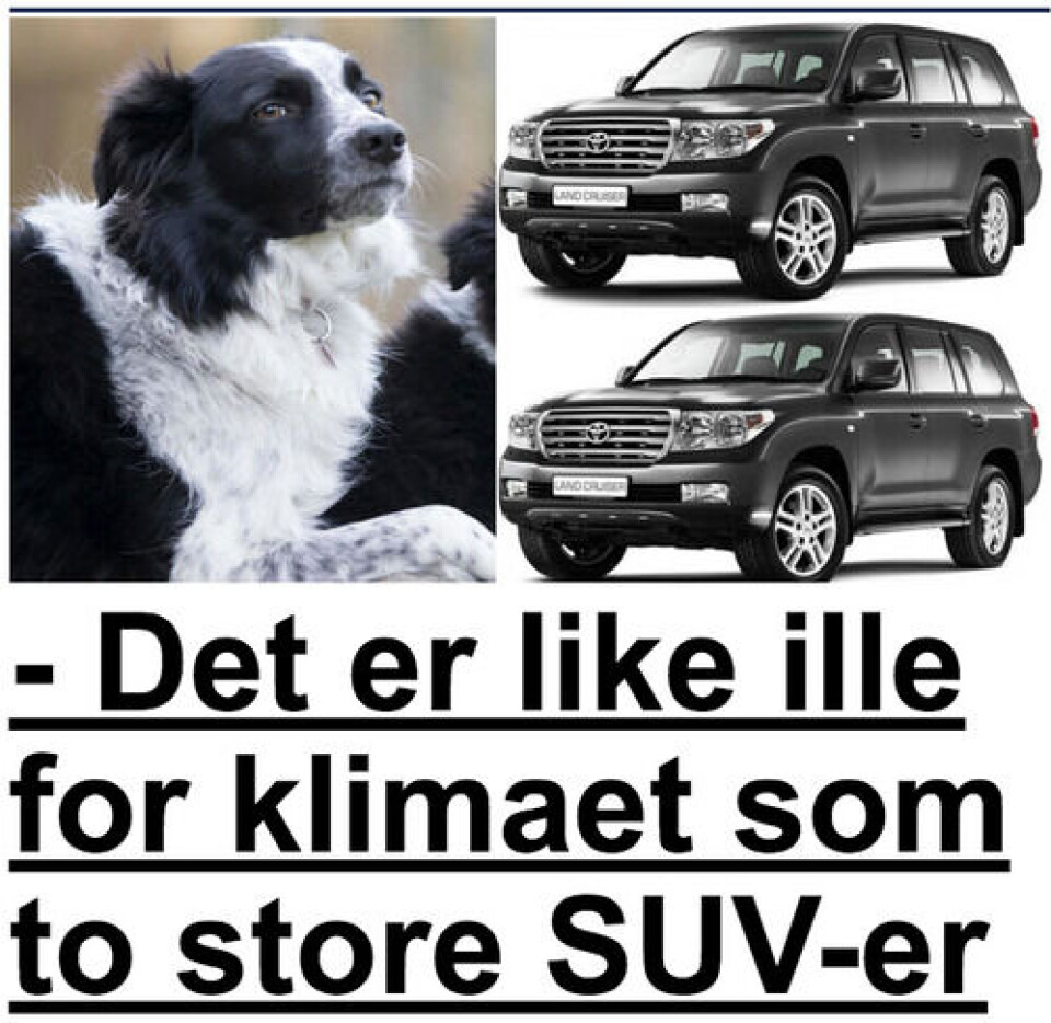 PÅ FORSIDEN: Slik så Nettavisens sak ut på forsiden av Nettavisen.no. PÅ FORSIDEN: Slik så Nettavisens sak ut på forsiden av Nettavisen.no.