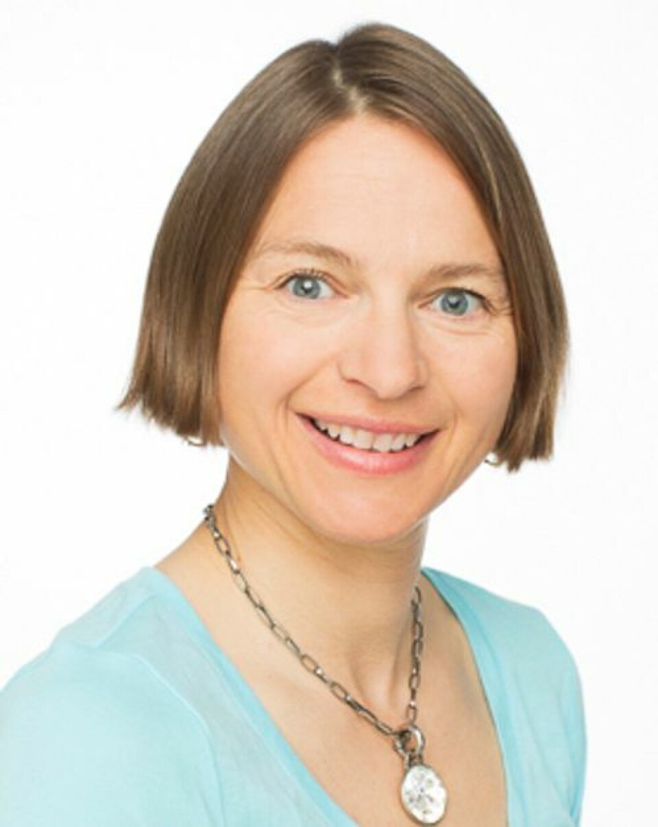 Astri Syse, seniorforsker i SSB. Foto: SSB. Astri Syse, seniorforsker i SSB.