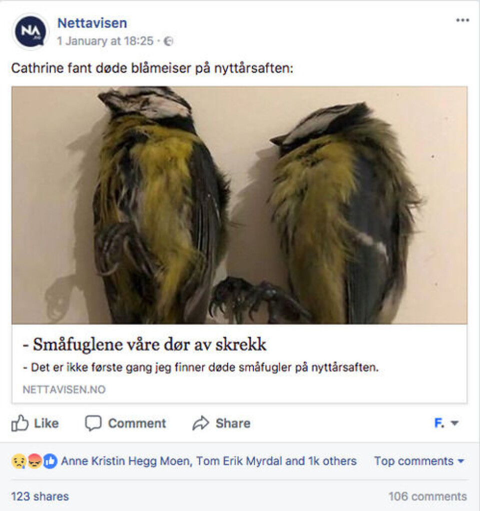 Nettavisens sak på Facebook. Foto: Skjermdump / Facebook Nettavisens sak på Facebook.