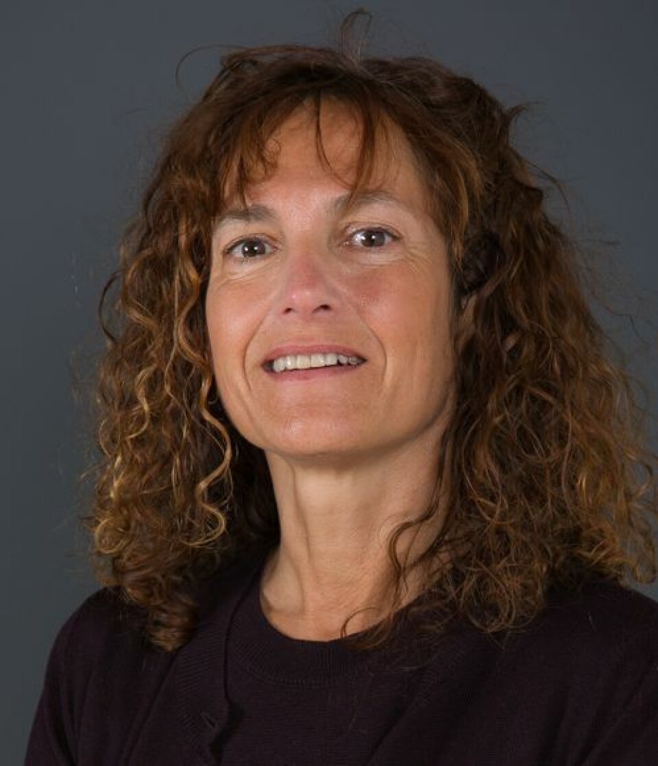Inés Hardoy, forsker ved Institutt for samfunnsforskning. Foto: Institutt for samfunnsforskning. Inés Hardoy, forsker ved Institutt for samfunnsforskning.