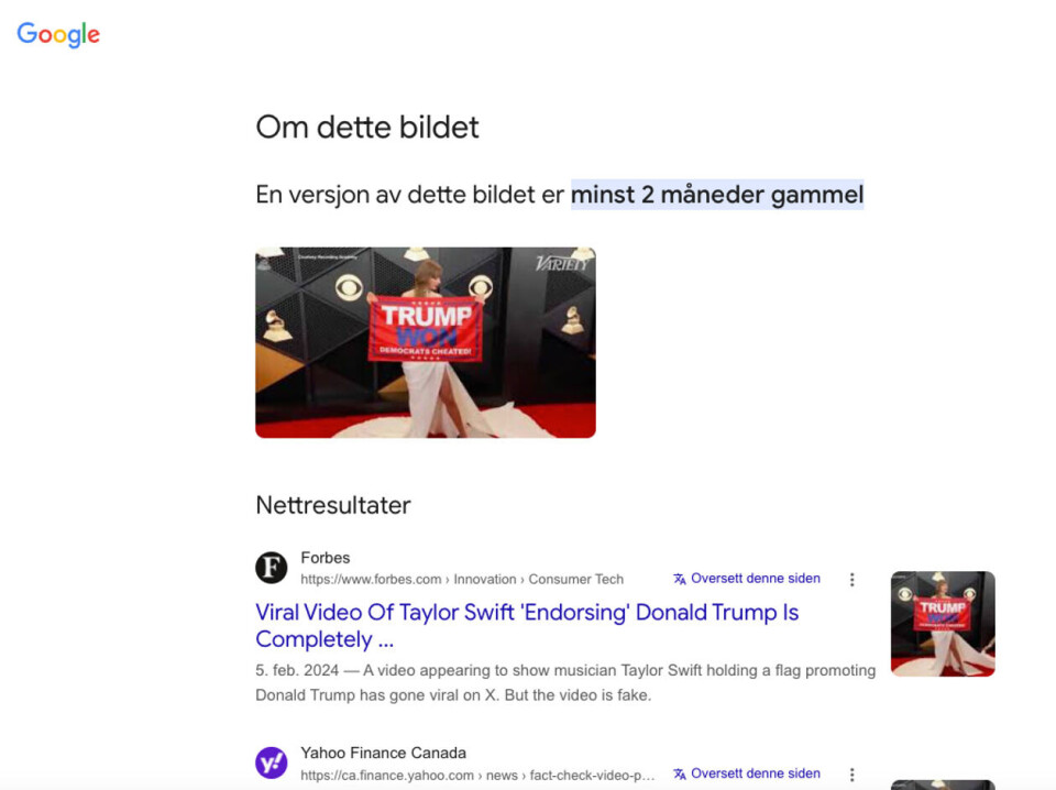 Vi tester den nye «om bildet»-funksjonen til Google. Skjermdump: Google.no