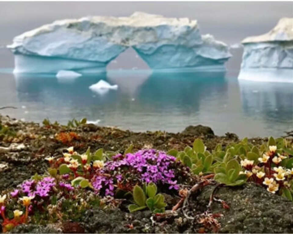 Dette skjermbildet er egentlig et stockbilde fra Alamy Stock Photo, tatt av Sergey Uryadnikov.