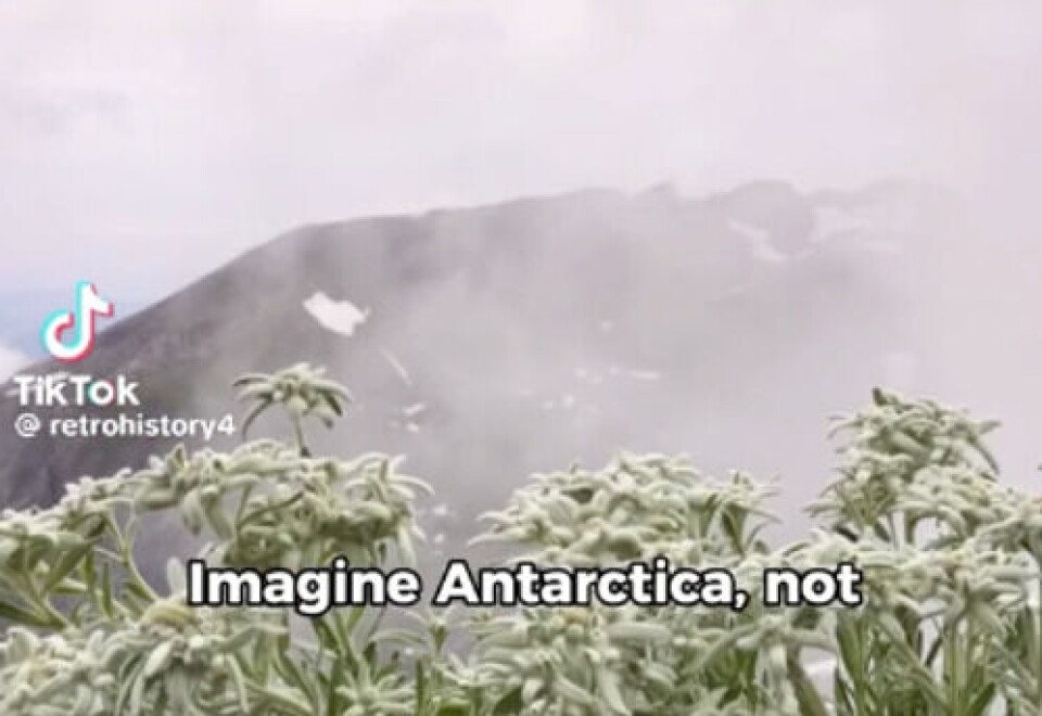 Dette bildet er heller ikke fra Antarktis, men fra Østerrike. Skjermdump, TikTok