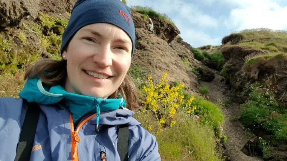 Det er bare to blomstrende arter i Antarktis ifølge Kristine Bakke Westergaard, førsteamanuensis ved NTNU Vitenskapsmuseet. Hun er ekspert på polar botanikk. Bildet er tatt på Svalbard. Foto: Privat
