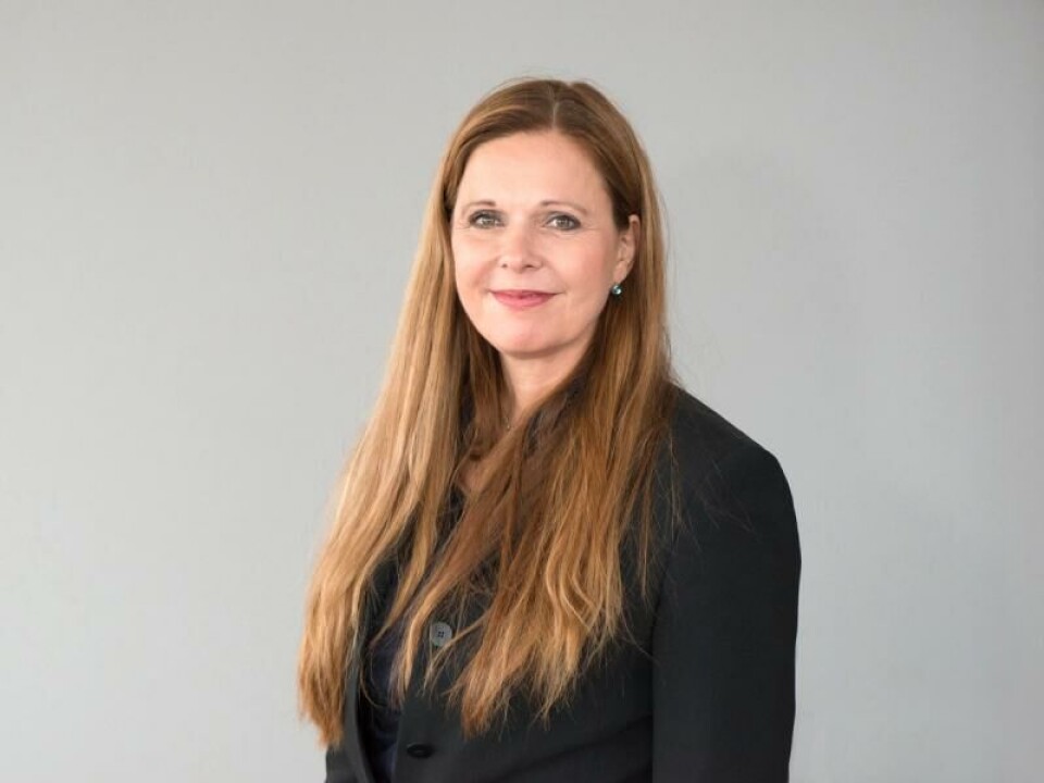 Anne Kjersti Befring, professor i rettsvitenskap ved UiO, sier at hjemmelen kun kan brukes ved helt spesielle situasjoner. Foto: UiO