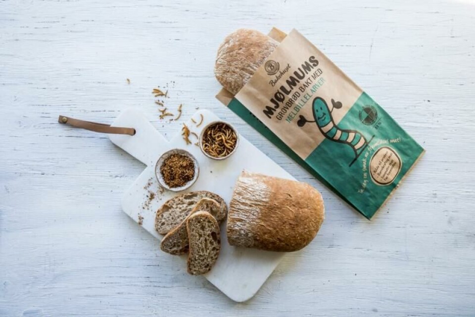 Brødet Mjølmums inneholdt melbillelarver. Brødet var i salg i en testperiode i 2019, og er ikke lenger i salg. Ifølge Mattilsynet kunne man søke om å få selge matvarer med insekter også før 2021. Foto: Meny