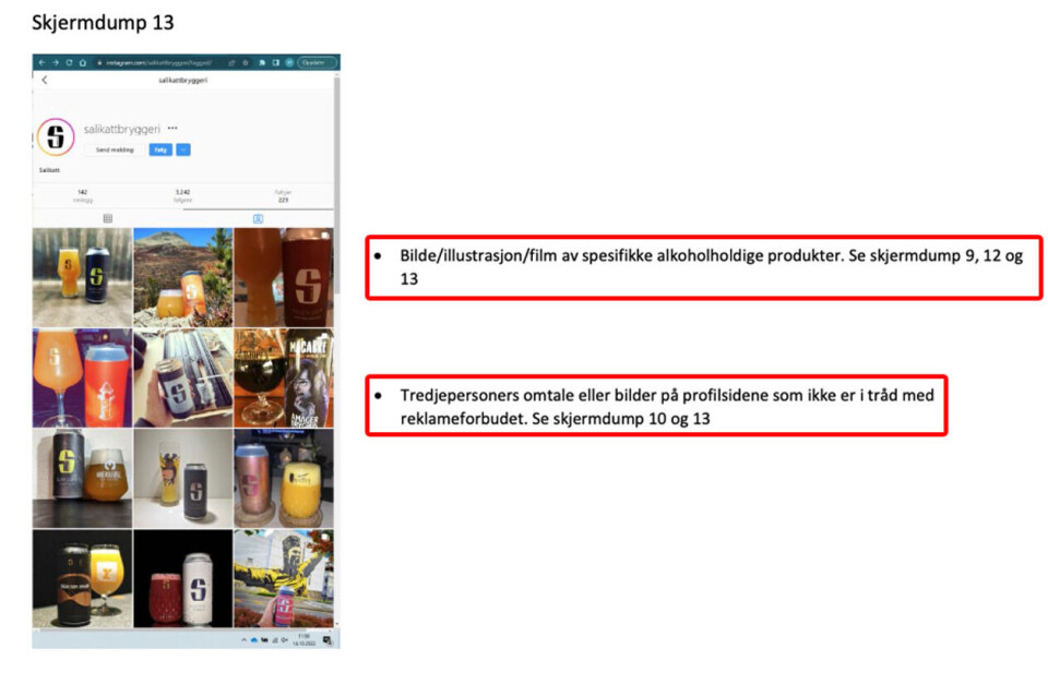Fra rapporten og vedleggene. Skjermdump 13 viser at det siktes til bilder underlagt Salikatt sin egen Instagramprofil.