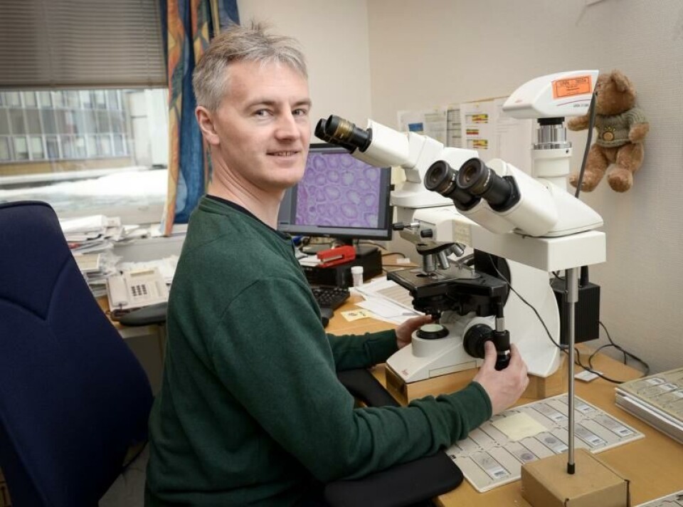 Sveinung Sørbye er overlege ved Avdeling for klinisk patologi ved Universitetssykehuset Nord-Norge (UNN) Foto: UNN