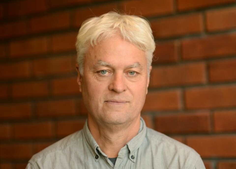 Førstelektor i midtøstenstudier ved UiO, Dag Tuastad, sier at det ikke er usannsynlig at Hamas står bak, men det kan like gjerne være en gren til Hamas.Foto: Ellen Evju Jahr/UiO