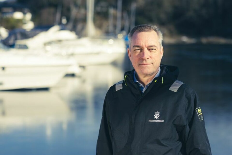 Ifølge fiskeridirektør Frank Bakke-Jensen ble det besluttet å avlive Freya fordi menneskers liv og helse kunne komme i fare. Foto: Vegard Oen Hatten / Fiskeridirektoratet.