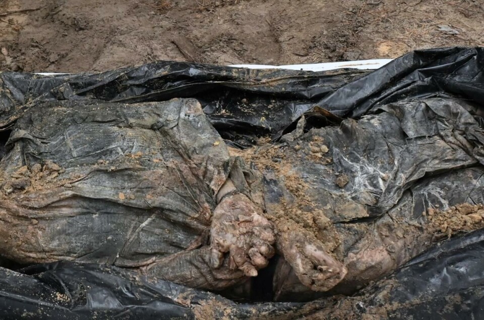 Rene henrettelser er forbudt etter krigens folkerett. Dette bildet, tatt i Izium, 16. september, viser et lik med bakbundne hender. Foto: Sergey Bobok, AFP.