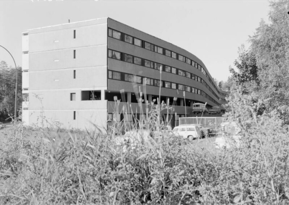 Ammerudfaret borettslag ble oppført i 1968. Blokken ligger i et området som har gått fra høyest valgdeltagelse i 1979 til å ha blant de laveste i 2023. Foto: Teigen fotoatelier / DEXTRA Photo