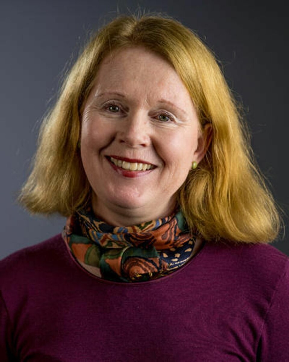 WHO kan ikke pålegge stater å gjøre ting de ikke vil eller kan gjennomføre, sier jusprofessor ved Universitetet i Bergen, Henriette Sinding Aasen. Foto: UiB.