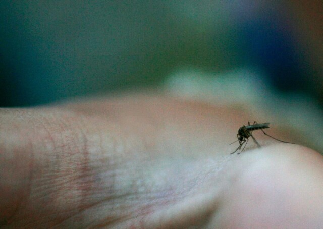 Foto: Sara Johannessen / NTB scanpix hovedbilde