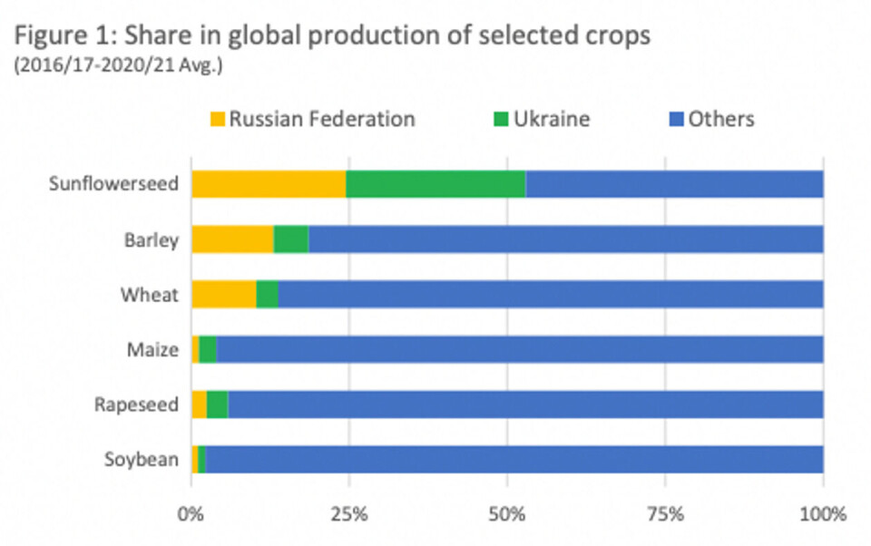 Figuren viser Russland og Ukrainas andel av den globale produksjonen av utvalgte landbruksvarer, blant annet hvete (wheat) og bygg (barley). Kilde: FAO, «Information note, March 25. The importance of Ukraine and the Russian Federation for global agricultural markets and the risks associated with the current conflict».