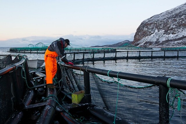 Foto: Terje Bendiksby / NTB scanpix hovedbilde