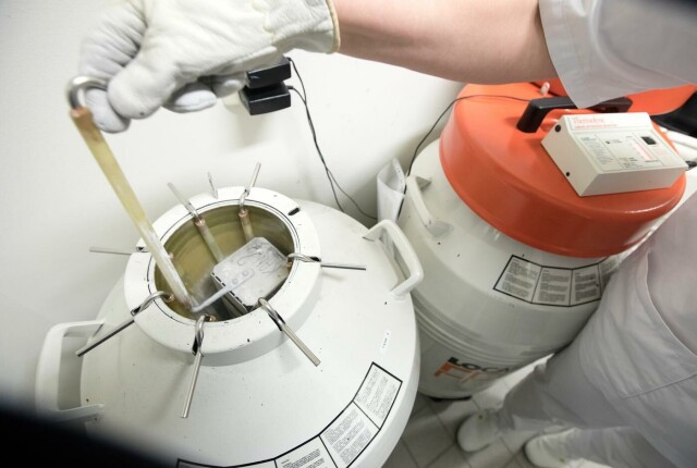 Slik lagres embryoer i tanker med flytende nitrogen. Foto: Gorm Kallestad / NTB scanpix Slik lagres embryoer i tanker med flytende nitrogen.