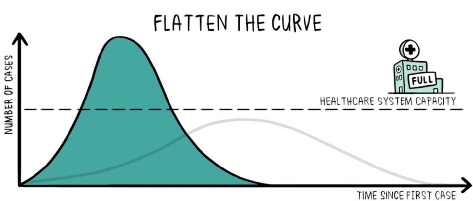 Grafikk: Toby Morris, Siouxsie Wiles/The Spinoff under Creative Commons-lisens