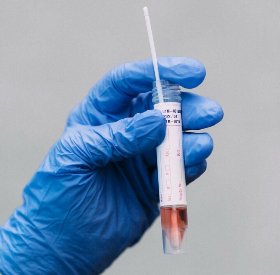 Prøvemateriale hentet fra hals og nese med en pinne kan analyseres for flere ting. Både koronavirus og andre smittestoffer. (foto: Jil Yngland / NTB) Prøvemateriale hentet fra hals og nese med en pinne kan analyseres for flere ting. Både koronavirus og andre smittestoffer.