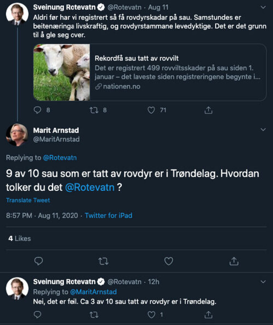 Nei, ni av ti sau som ble tatt av rovdyr, ble ikke tatt i Trøndelag