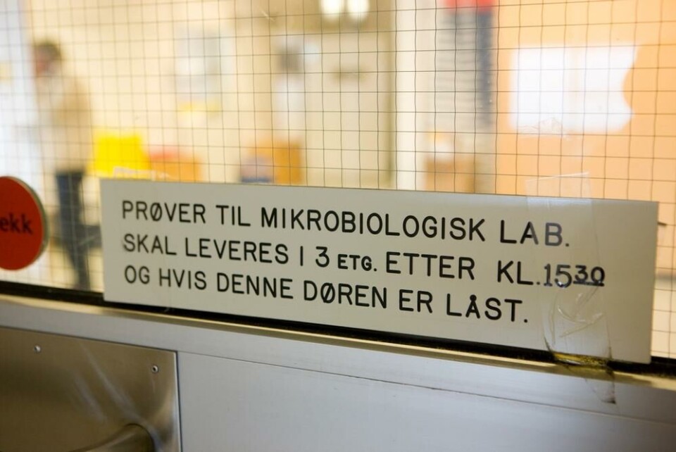 Bildet viser Mikrobiologisk laboratorium ved Ullevål sykehus under svineinfluensaepidemien i 2009. Berit Roald / NTB Scanpix Bildet viser Mikrobiologisk laboratorium ved Ullevål sykehus under svineinfluensaepidemien i 2009.